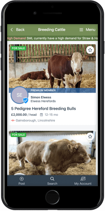 SellMyLivestock - The Online Livestock Marketplace | SellMyLivestock - The  Online Livestock Marketplace
