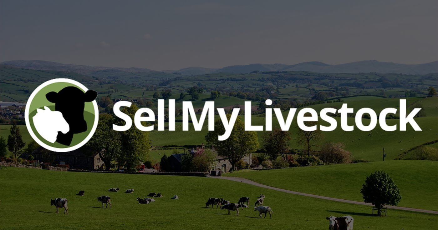 SellMyLivestock - The Online Livestock Marketplace | SellMyLivestock - The  Online Livestock Marketplace
