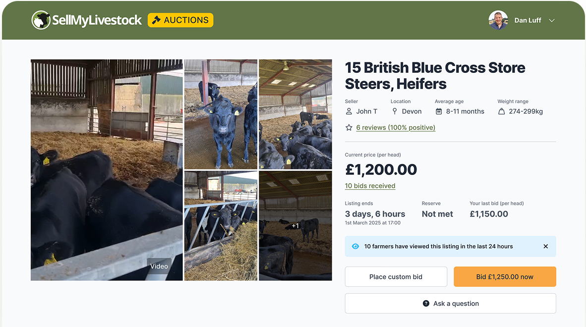 Auctions SellMyLivestock The Online Livestock Marketplace Auctions sellmylivestock the online livestock marketplace